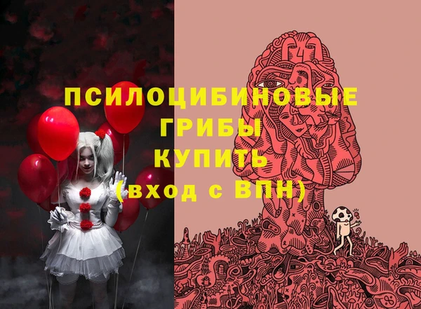 а пвп мука Бородино