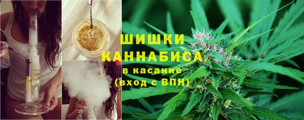 а пвп мука Бородино